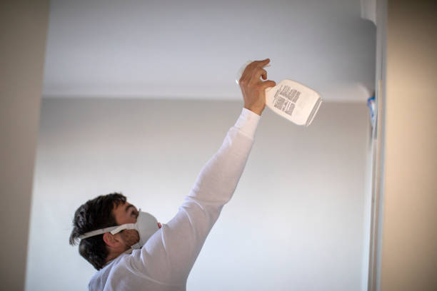 Best Commercial Mold Remediation in South Gull Lake, MI