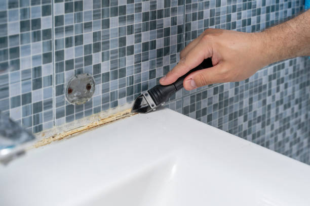 Best Residential Mold Remediation in South Gull Lake, MI